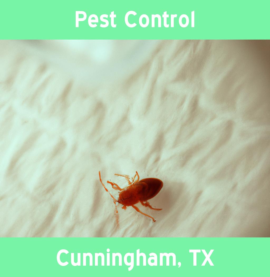 pest control in Cunningham Texas