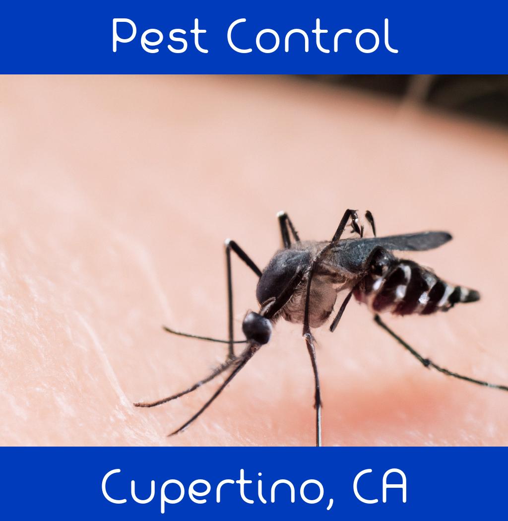 pest control in Cupertino California