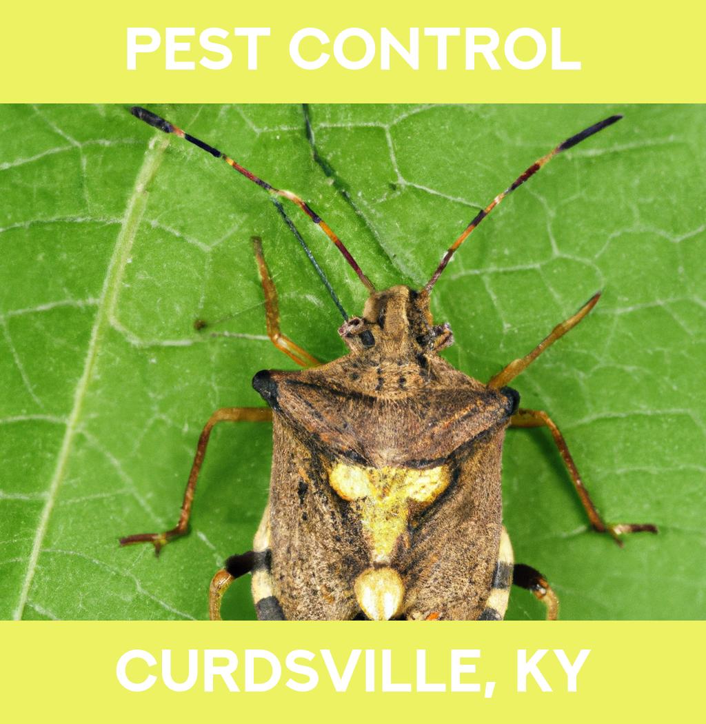 pest control in Curdsville Kentucky