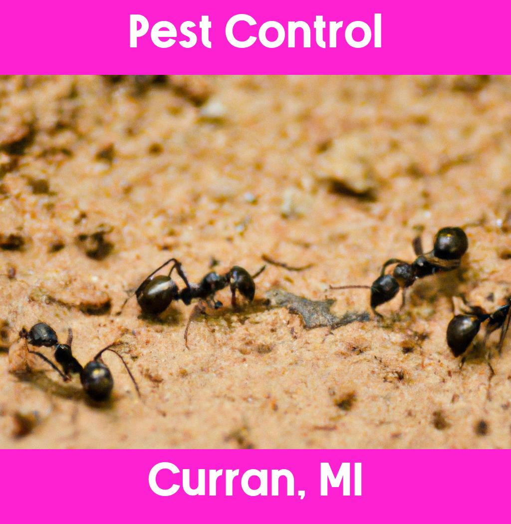 pest control in Curran Michigan