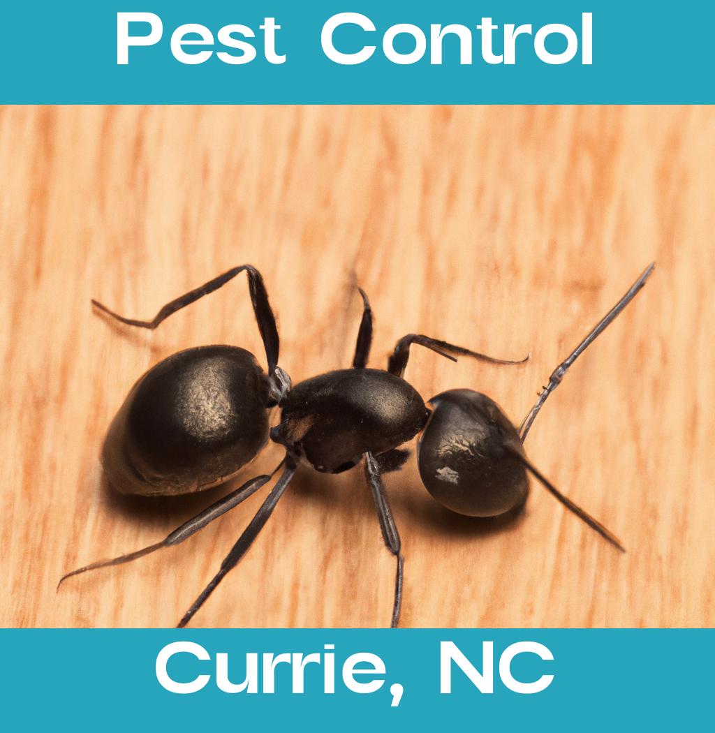 pest control in Currie North Carolina