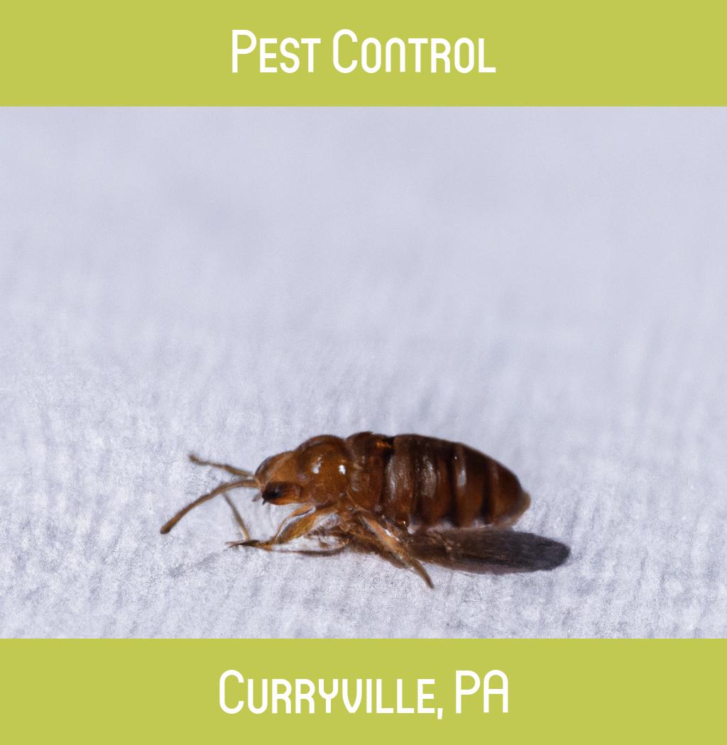 pest control in Curryville Pennsylvania