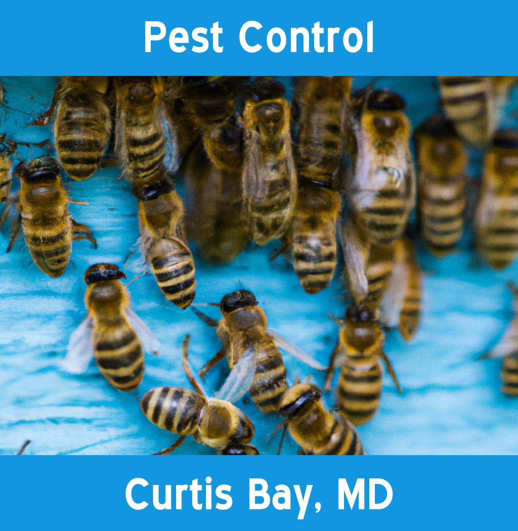 pest control in Curtis Bay Maryland