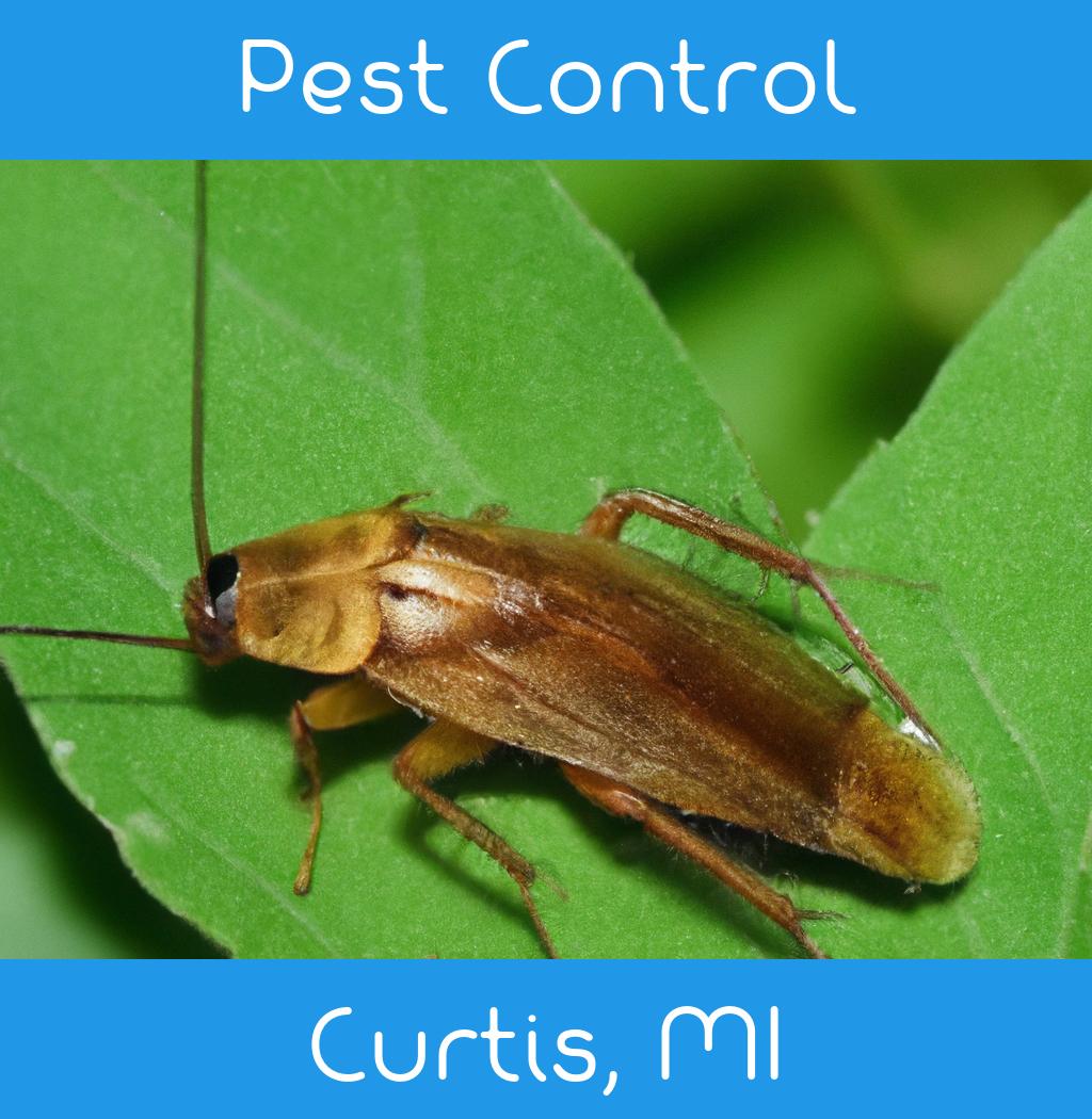 pest control in Curtis Michigan
