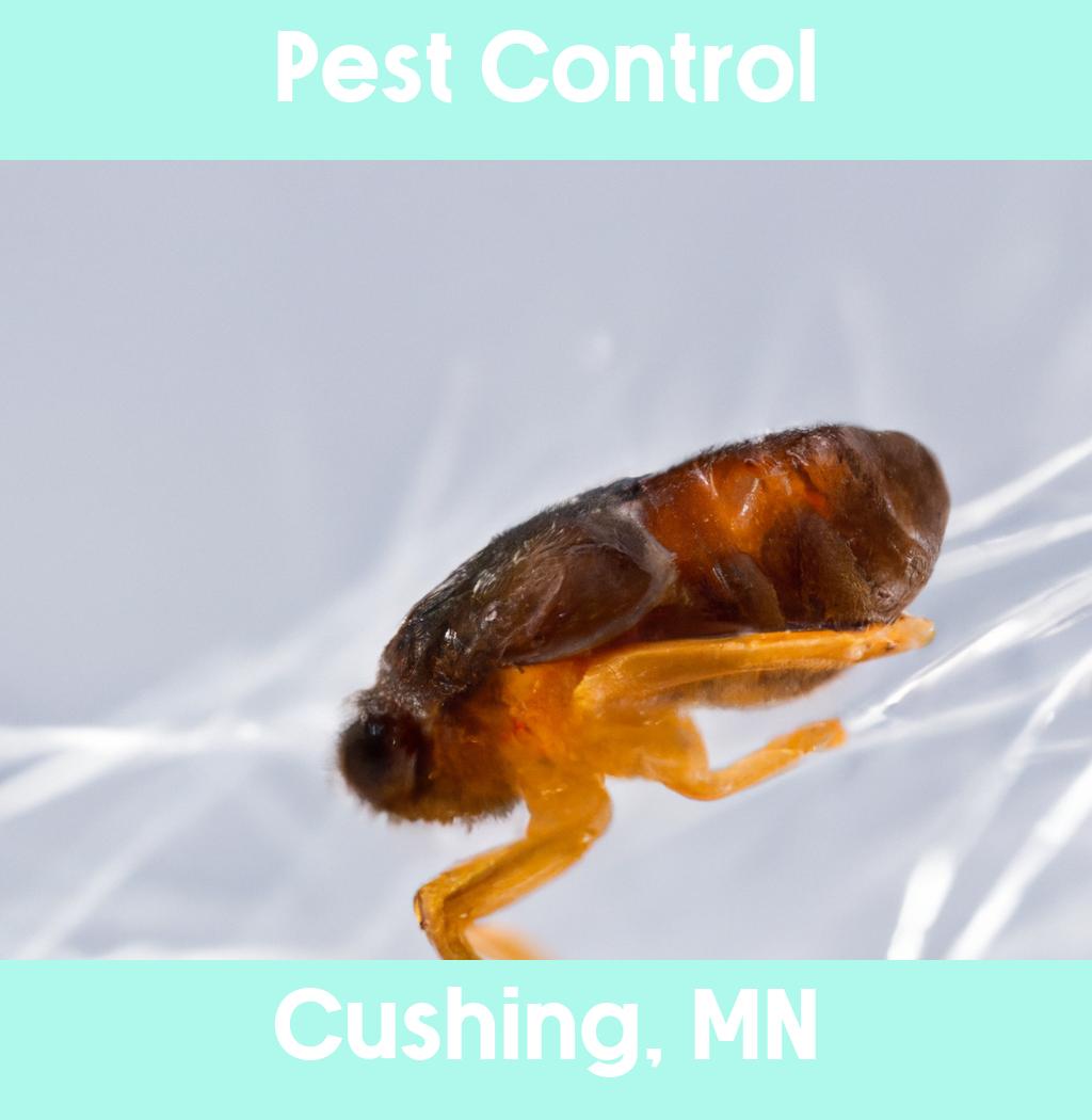pest control in Cushing Minnesota