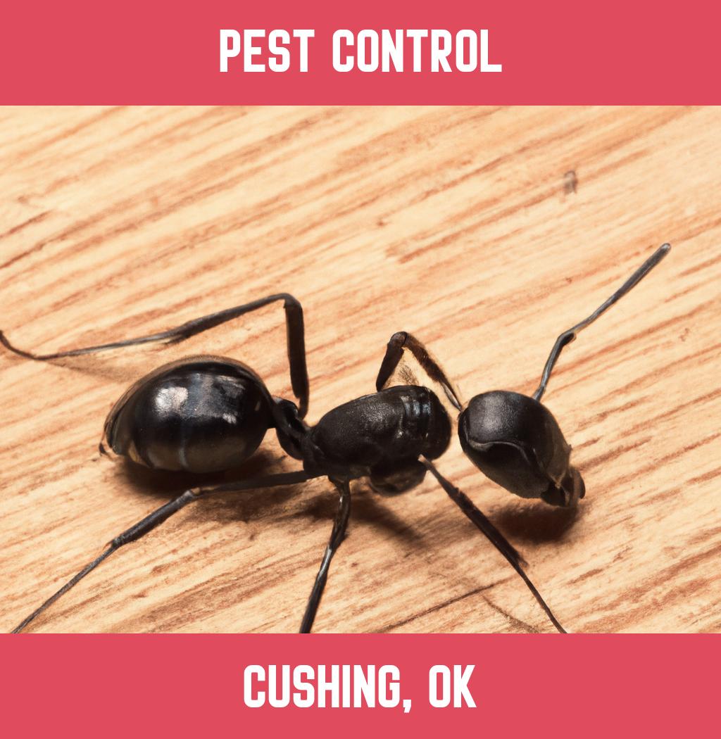 pest control in Cushing Oklahoma