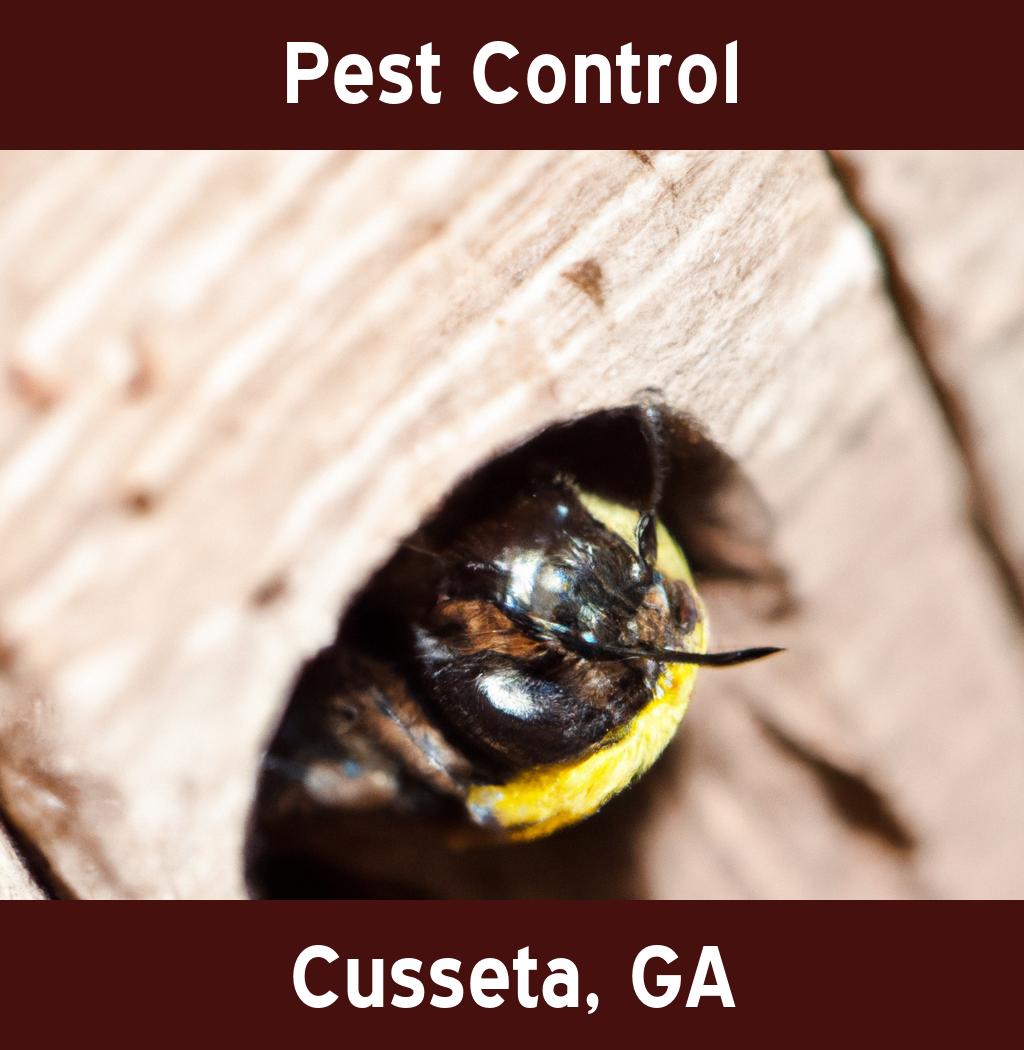 pest control in Cusseta Georgia