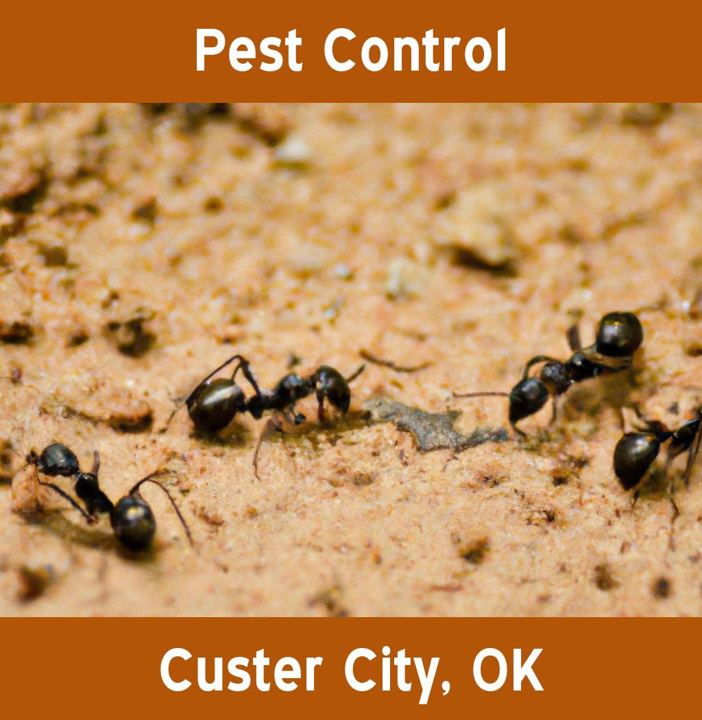 pest control in Custer City Oklahoma