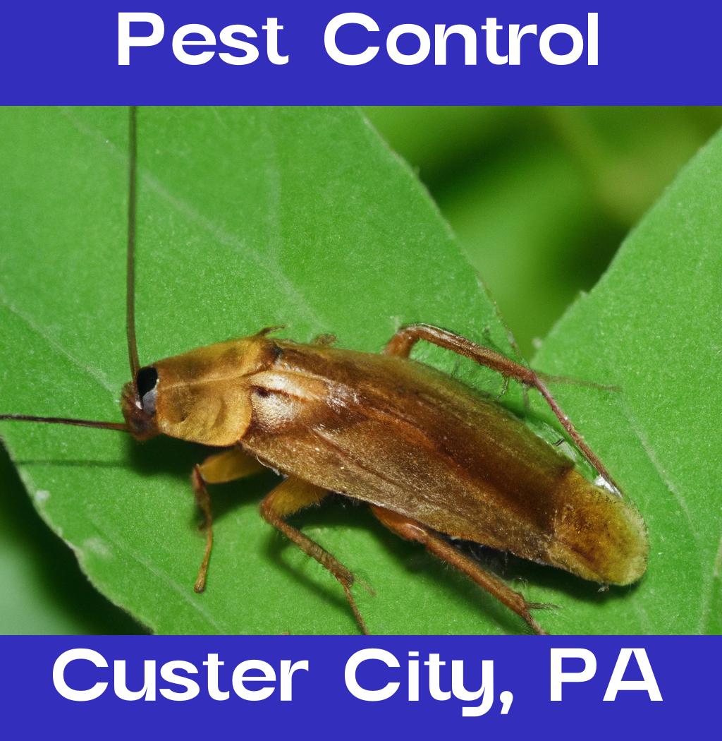 pest control in Custer City Pennsylvania