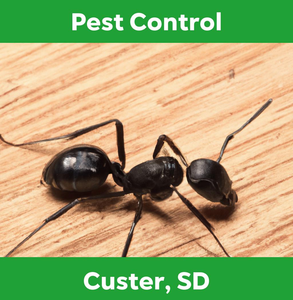 pest control in Custer South Dakota