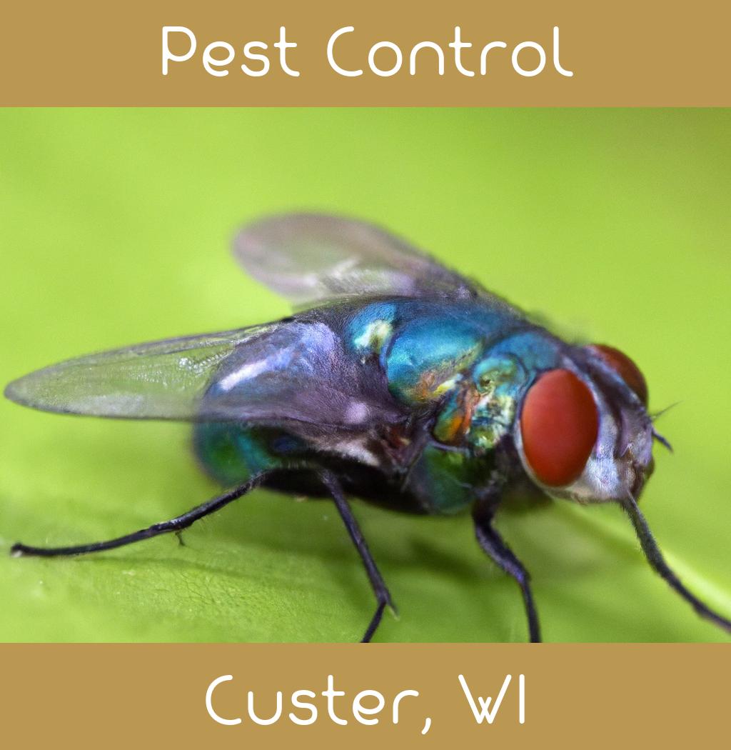 pest control in Custer Wisconsin