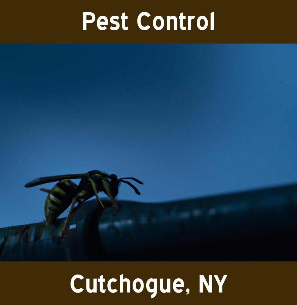 pest control in Cutchogue New York