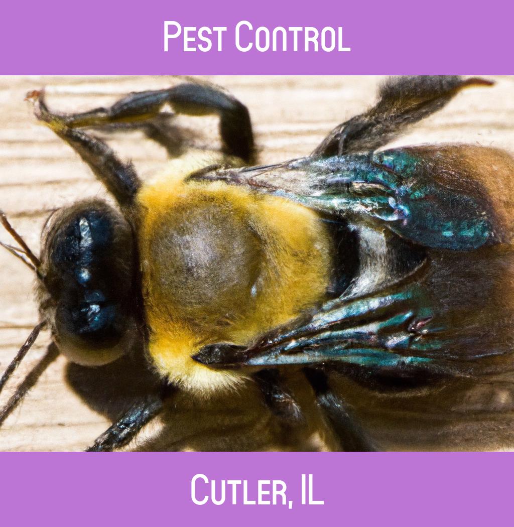 pest control in Cutler Illinois