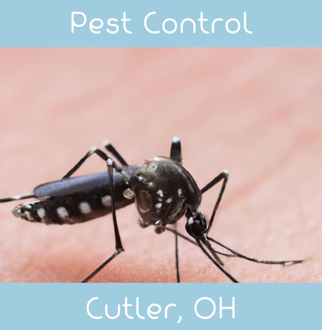 pest control in Cutler Ohio