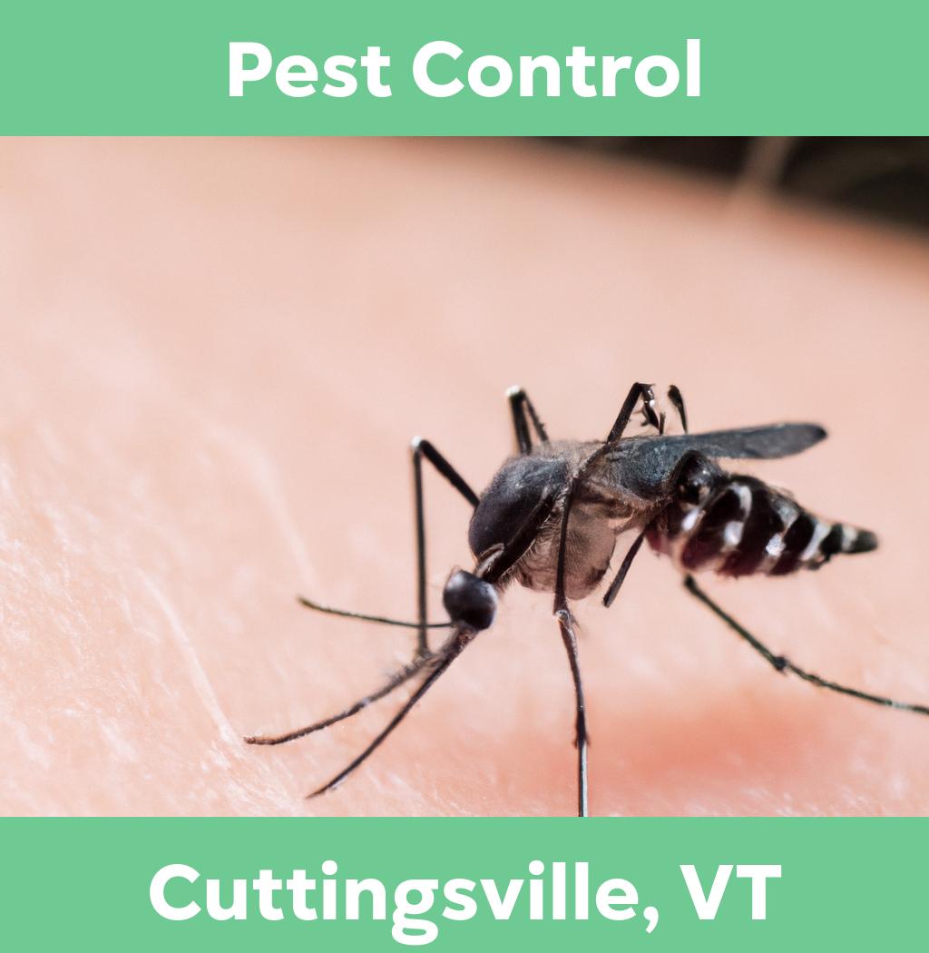 pest control in Cuttingsville Vermont
