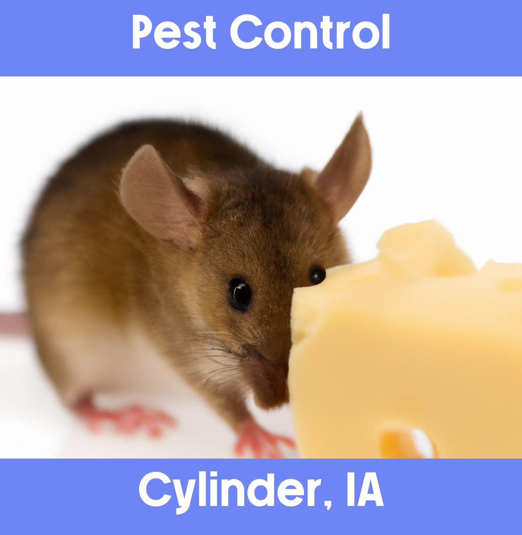 pest control in Cylinder Iowa