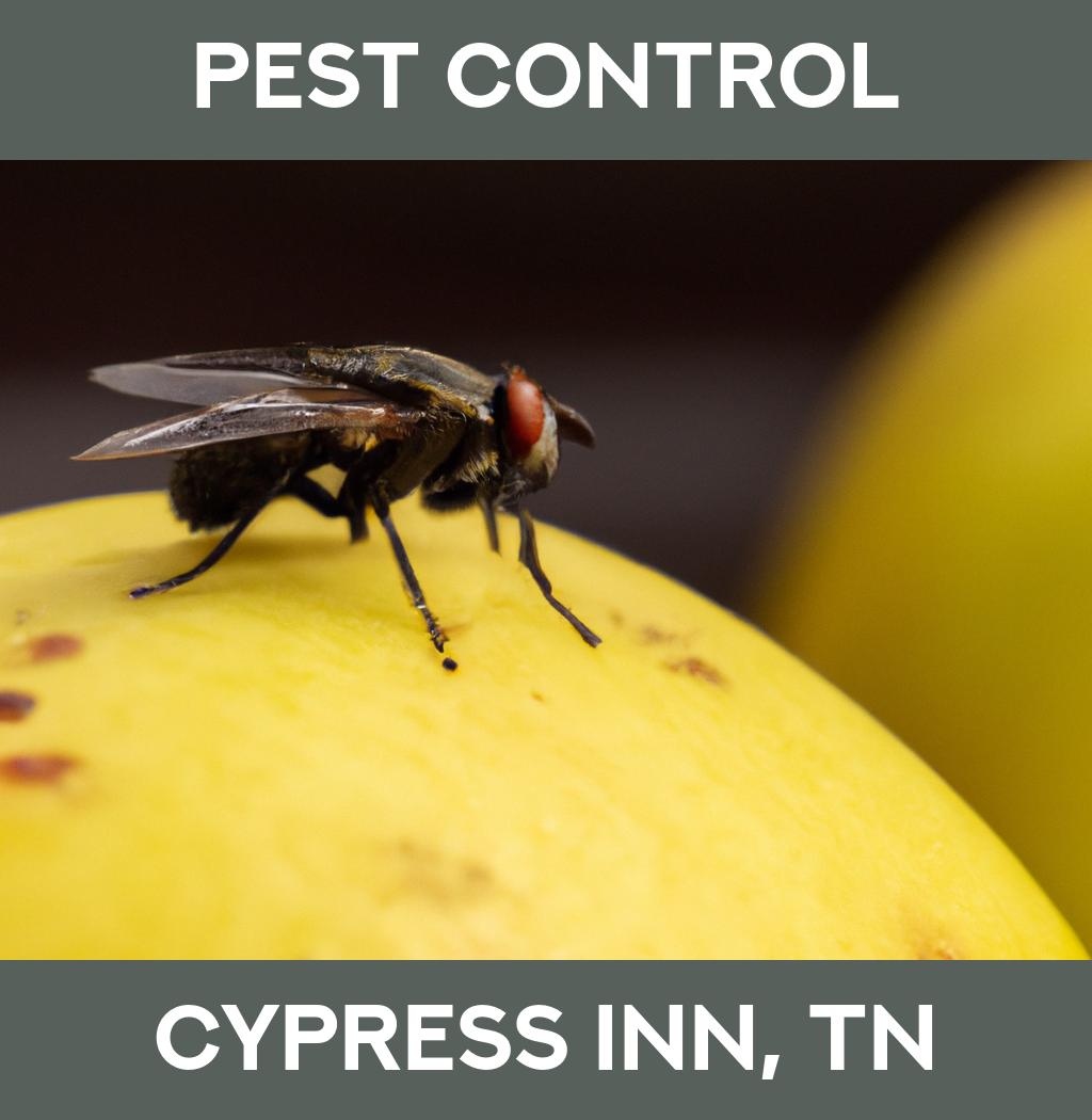 pest control in Cypress Inn Tennessee