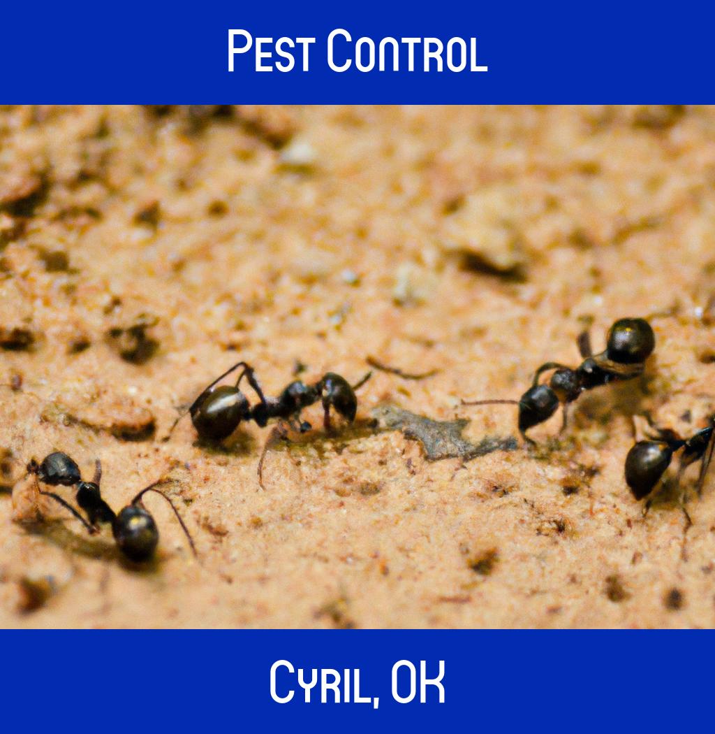 pest control in Cyril Oklahoma