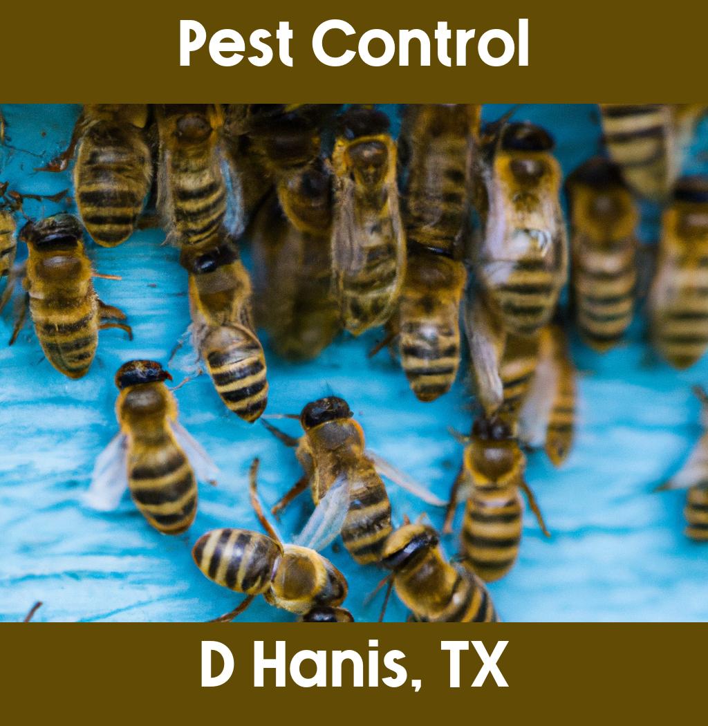 pest control in D Hanis Texas
