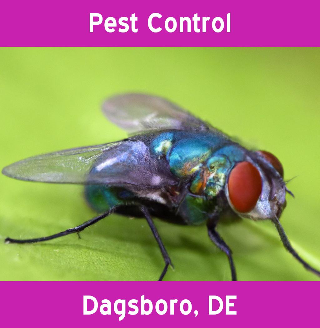 pest control in Dagsboro Delaware