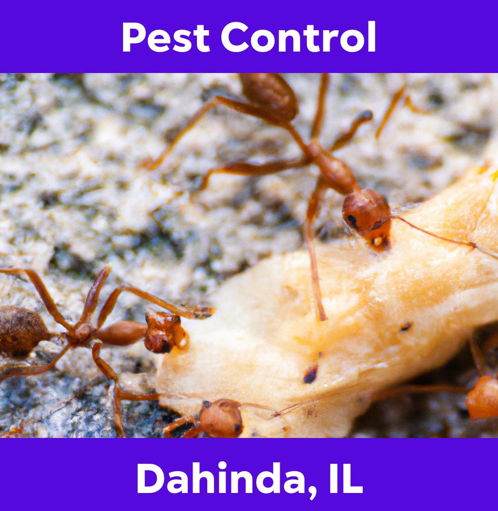 pest control in Dahinda Illinois