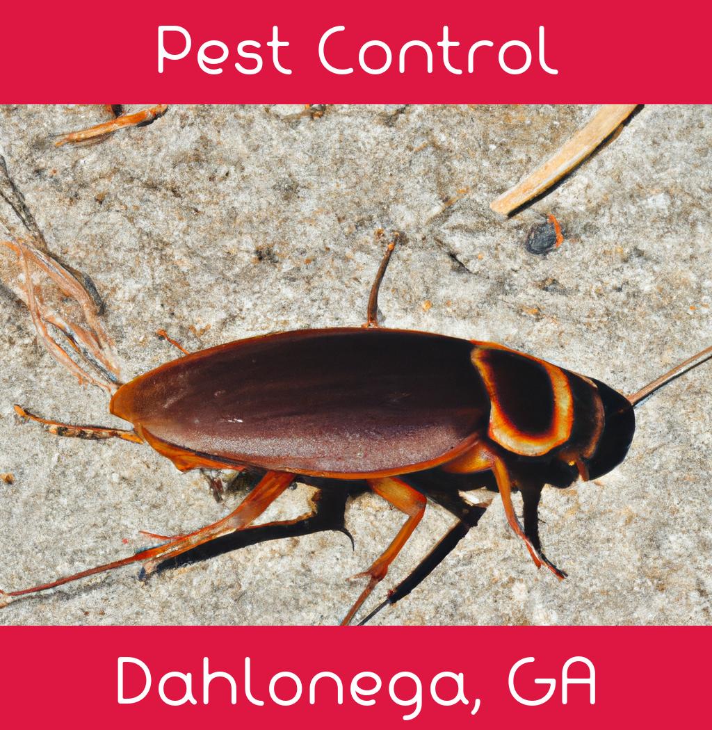 pest control in Dahlonega Georgia