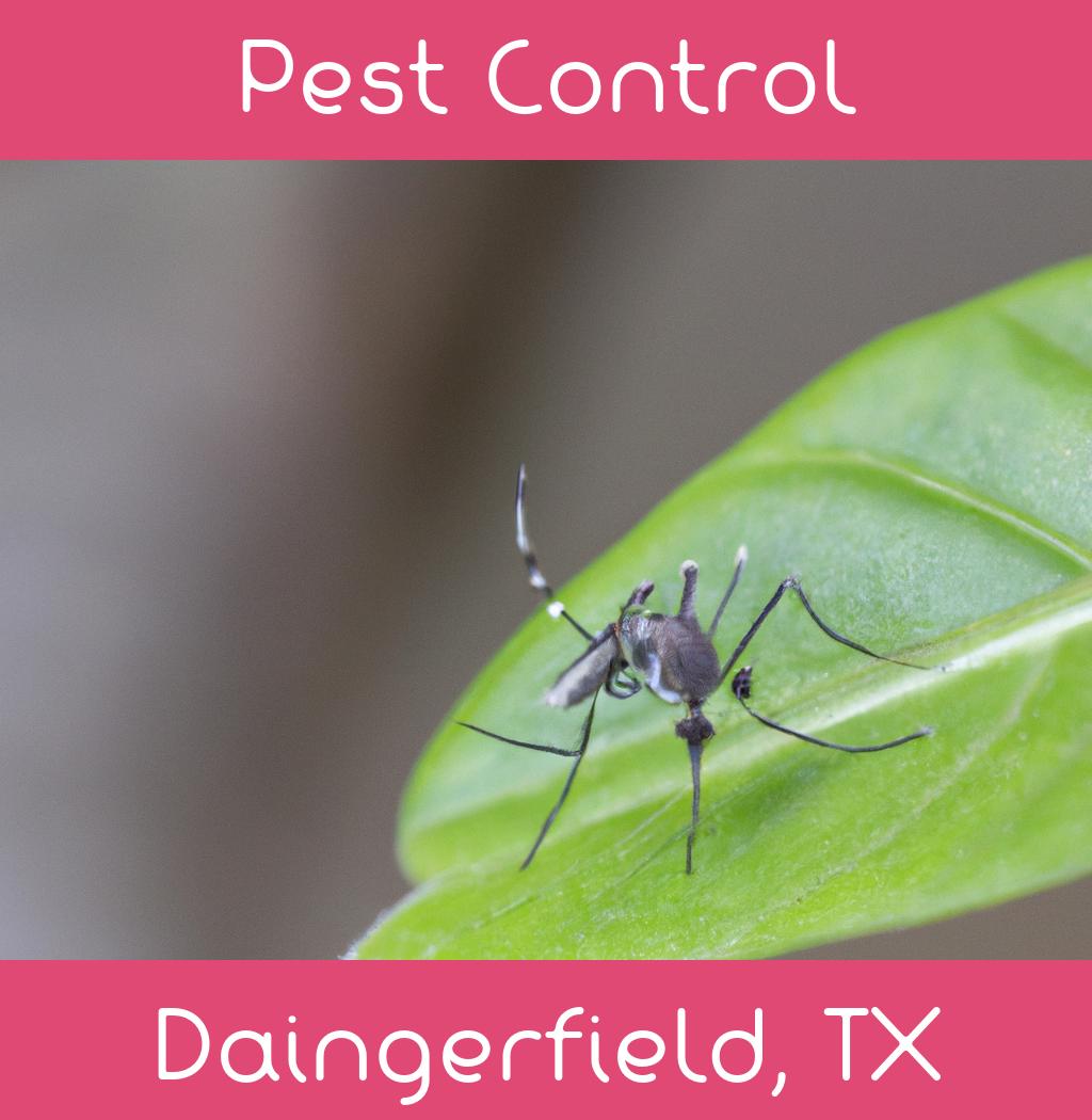 pest control in Daingerfield Texas