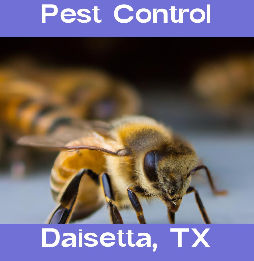 pest control in Daisetta Texas