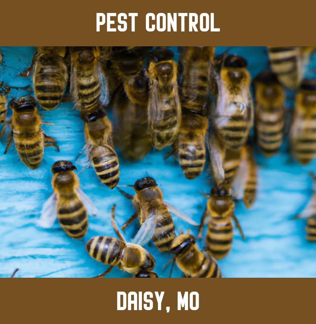 pest control in Daisy Missouri