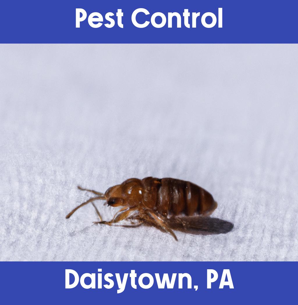 pest control in Daisytown Pennsylvania