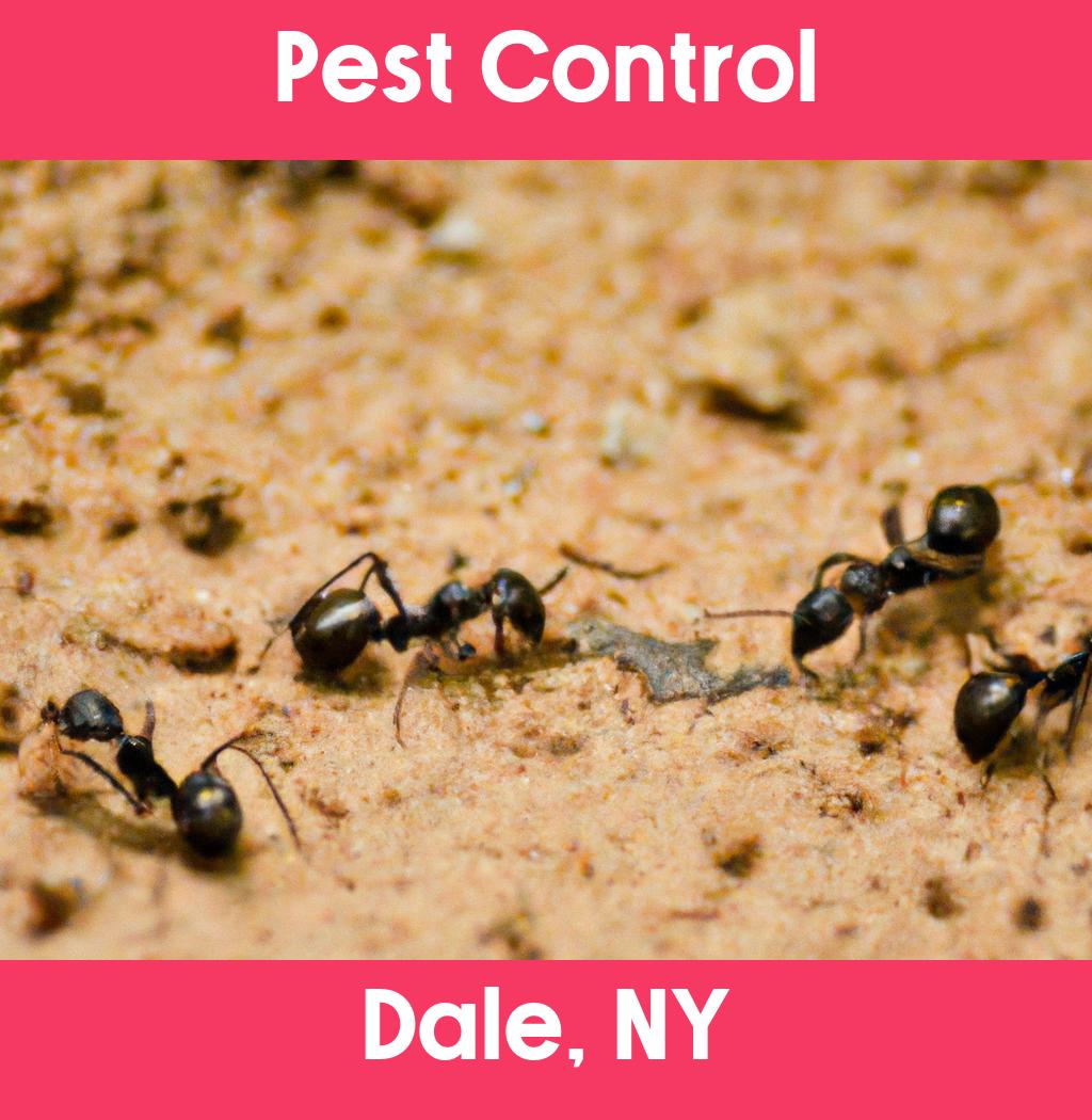 pest control in Dale New York