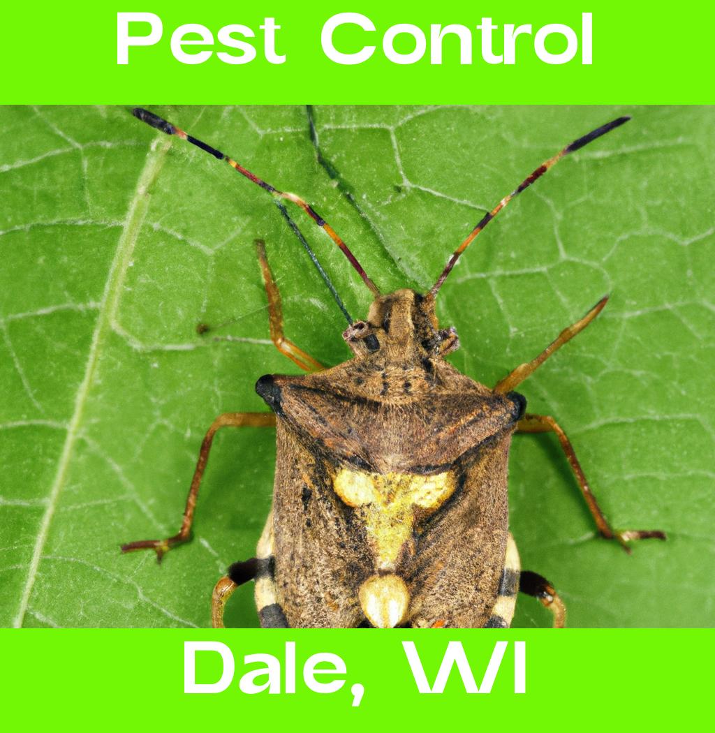 pest control in Dale Wisconsin