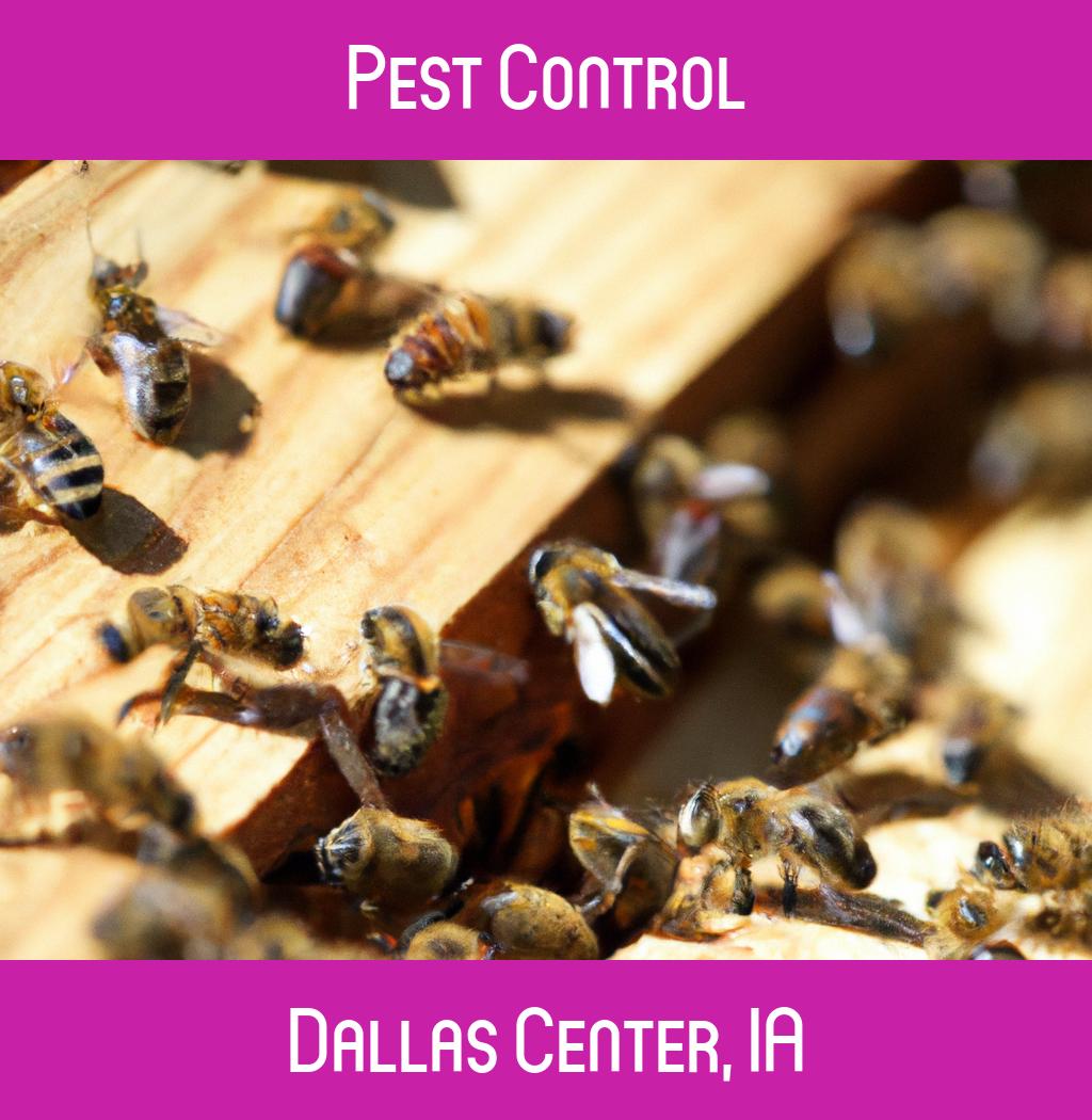 pest control in Dallas Center Iowa