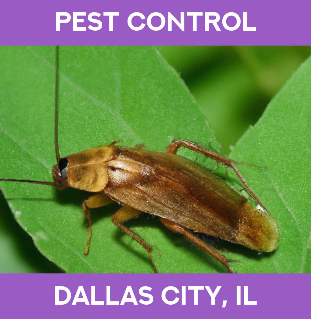 pest control in Dallas City Illinois