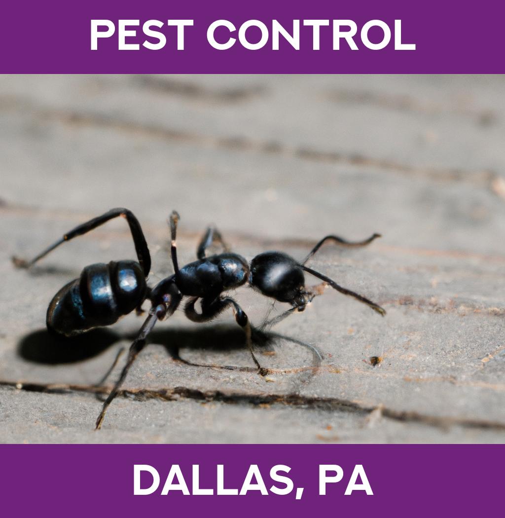 pest control in Dallas Pennsylvania
