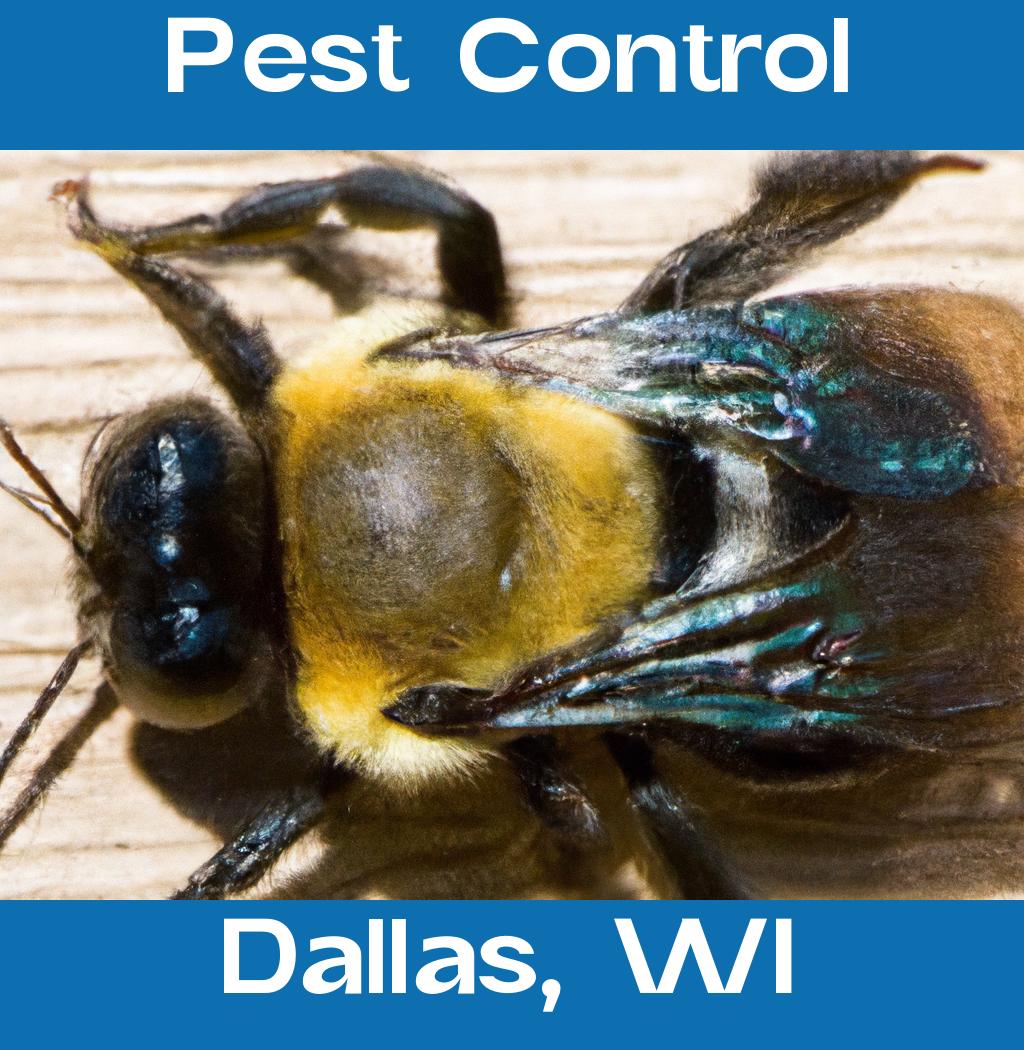 pest control in Dallas Wisconsin
