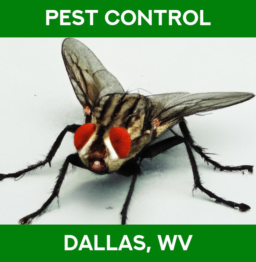 pest control in Dallas West Virginia
