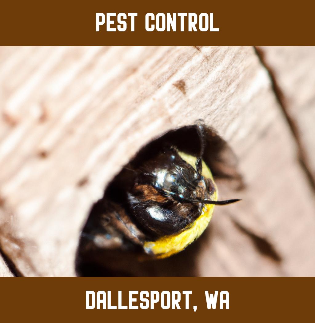pest control in Dallesport Washington