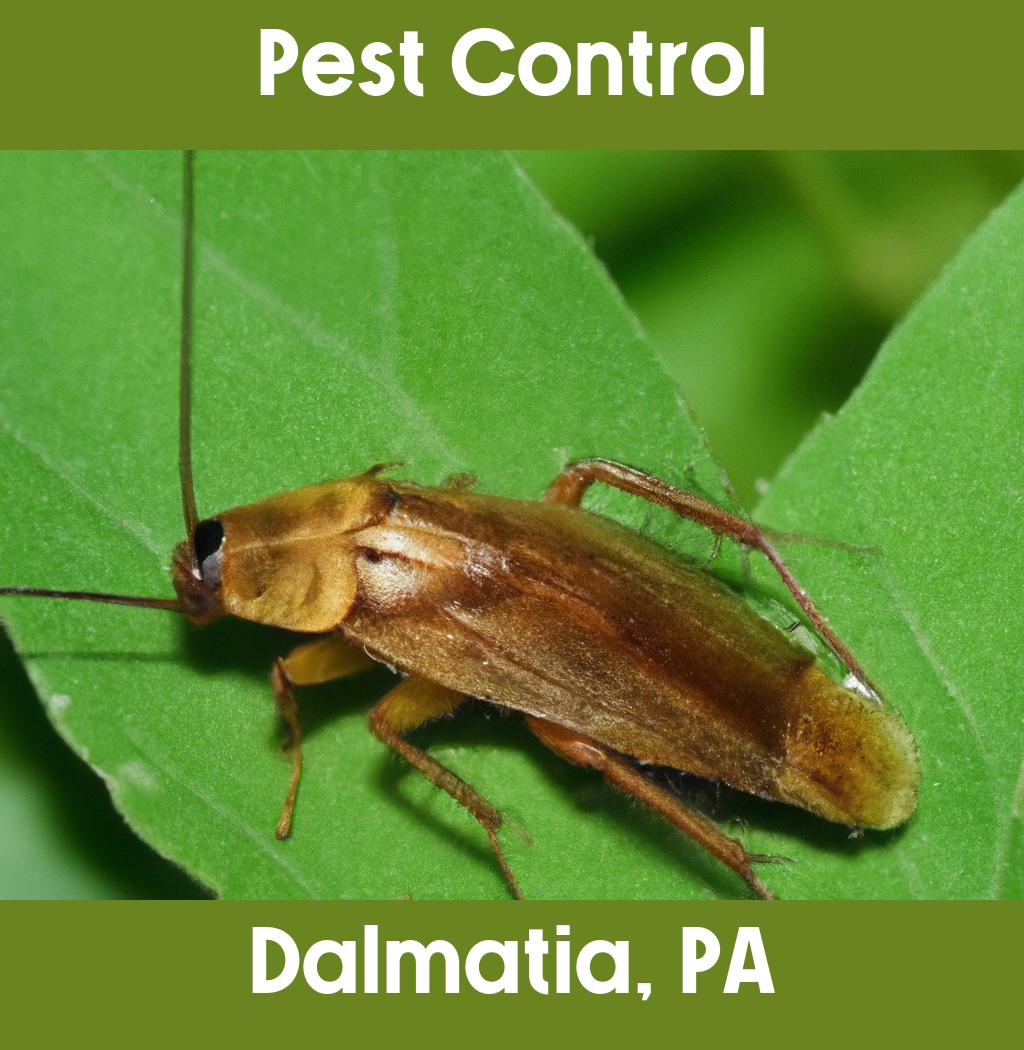 pest control in Dalmatia Pennsylvania