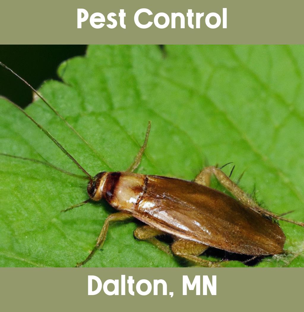 pest control in Dalton Minnesota