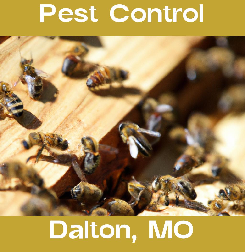 pest control in Dalton Missouri