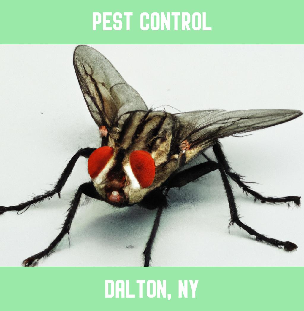 pest control in Dalton New York