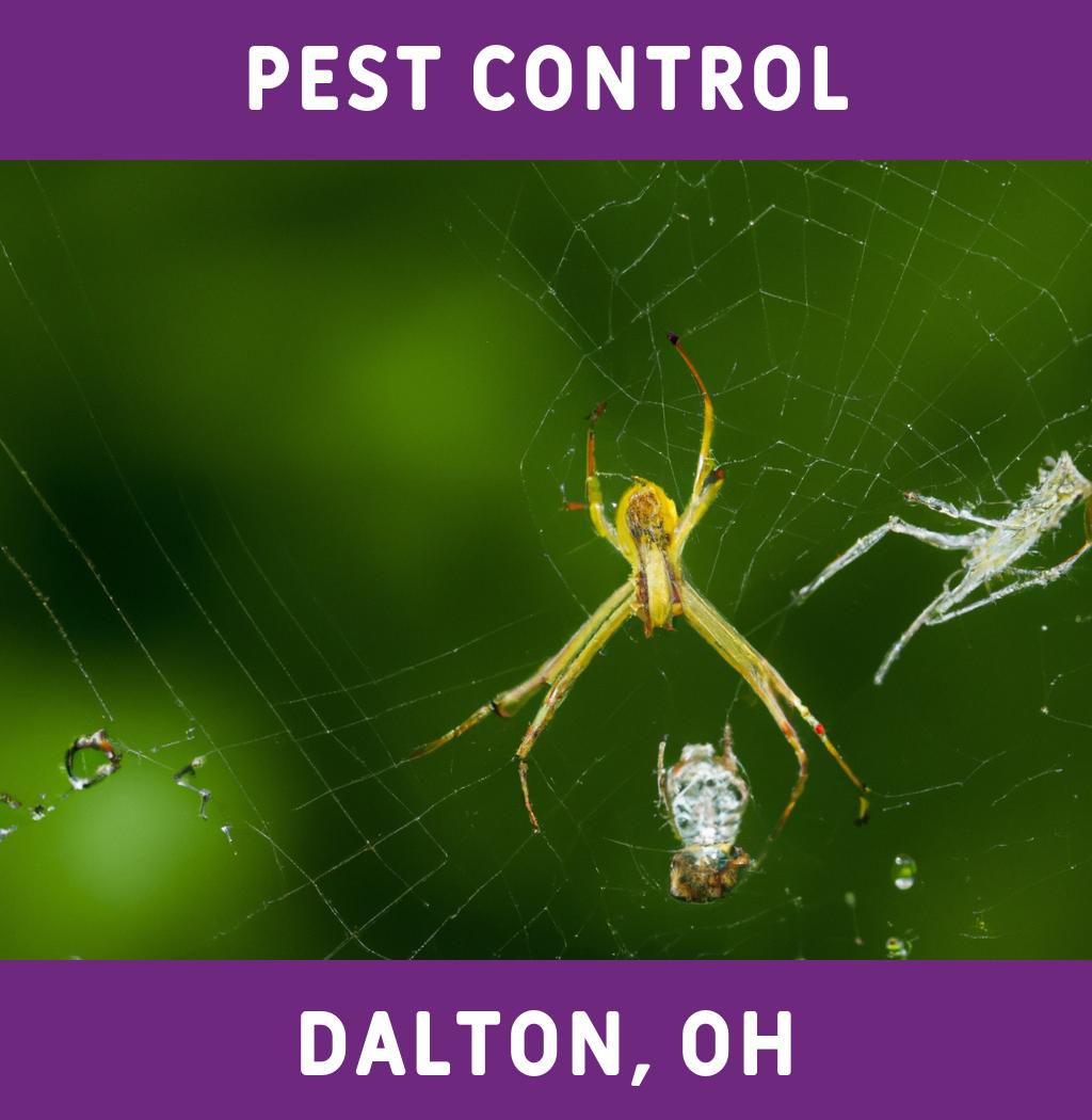 pest control in Dalton Ohio
