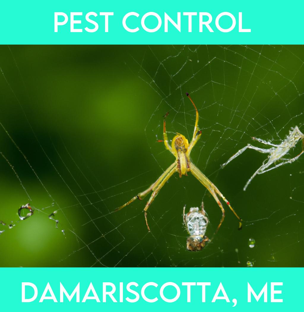 pest control in Damariscotta Maine