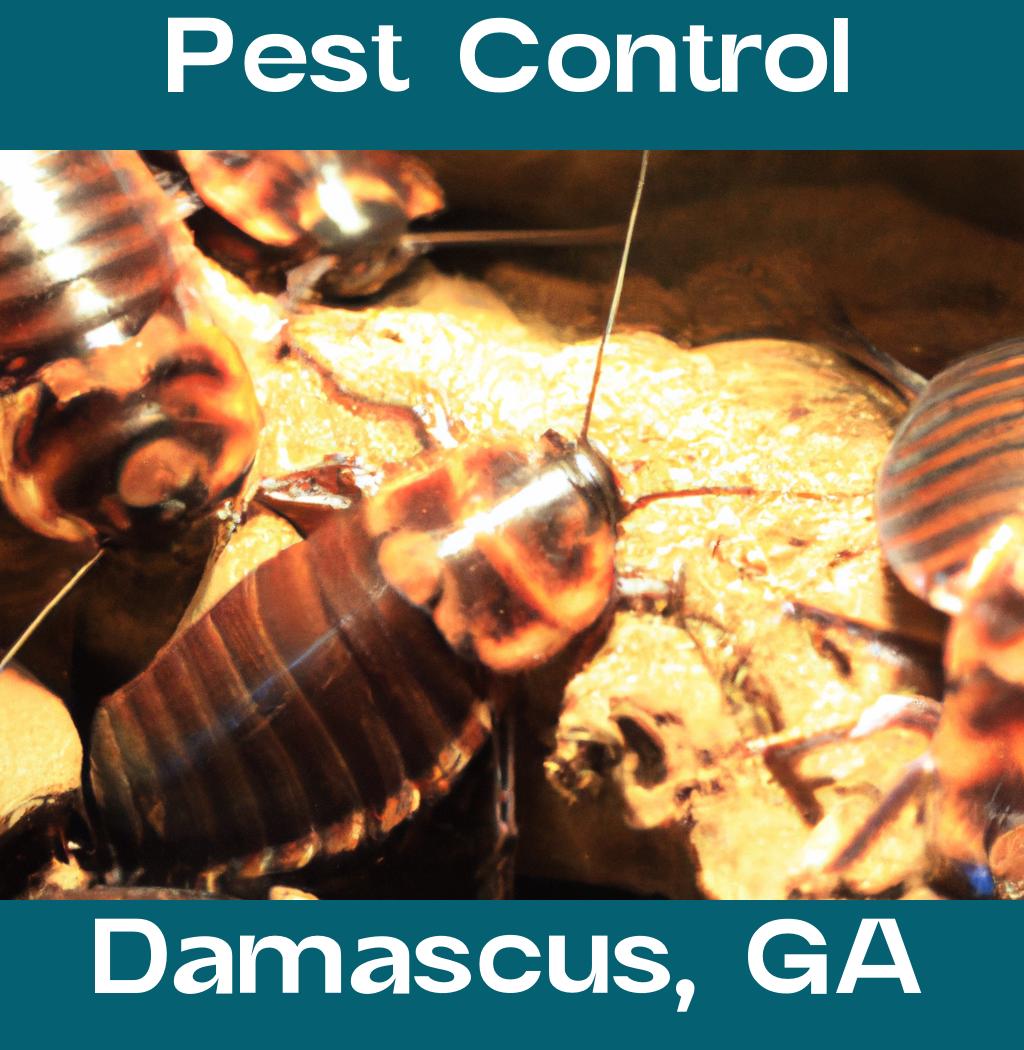 pest control in Damascus Georgia