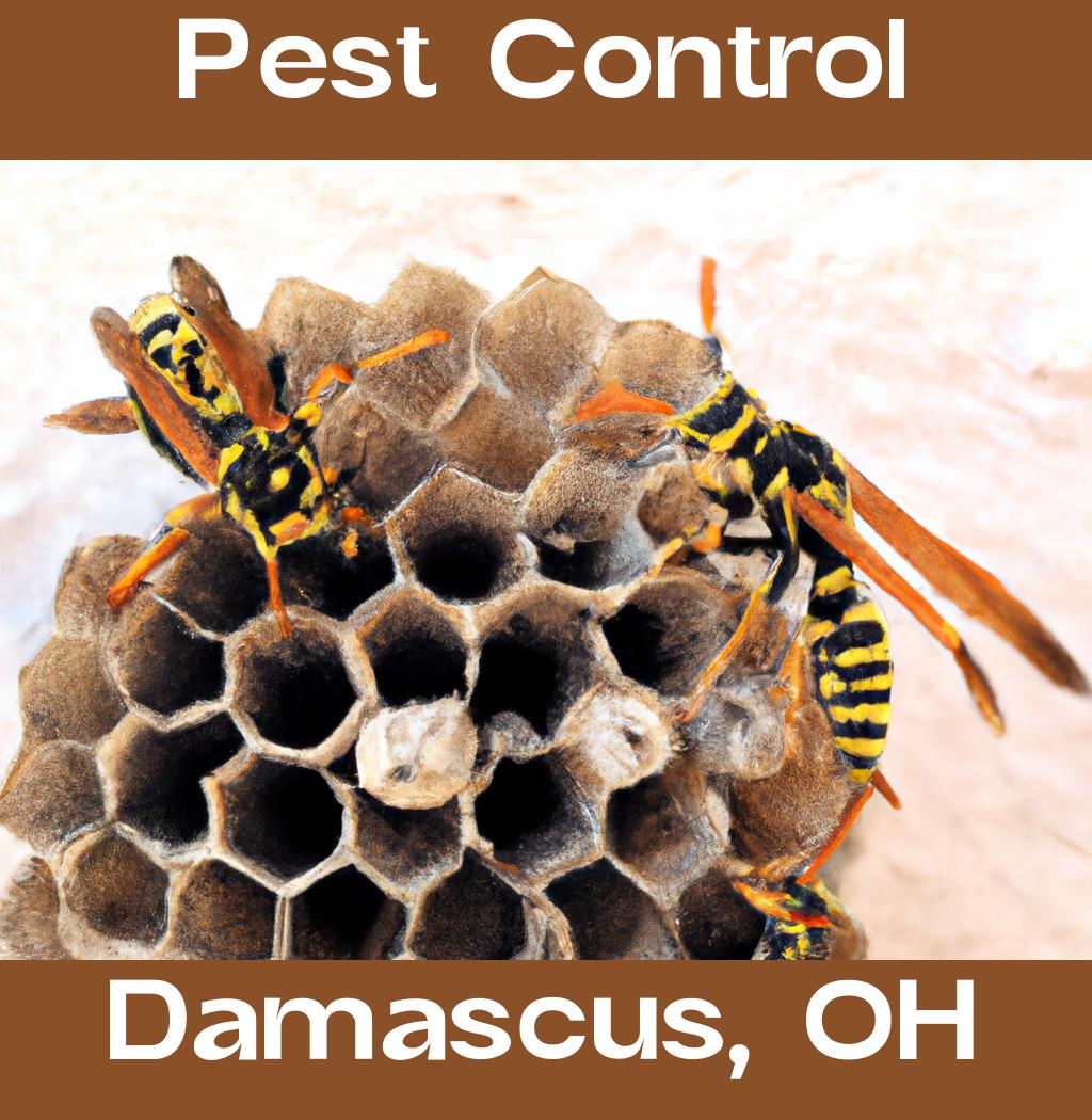 pest control in Damascus Ohio