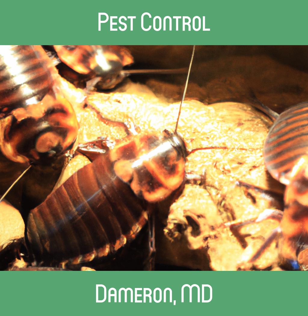 pest control in Dameron Maryland