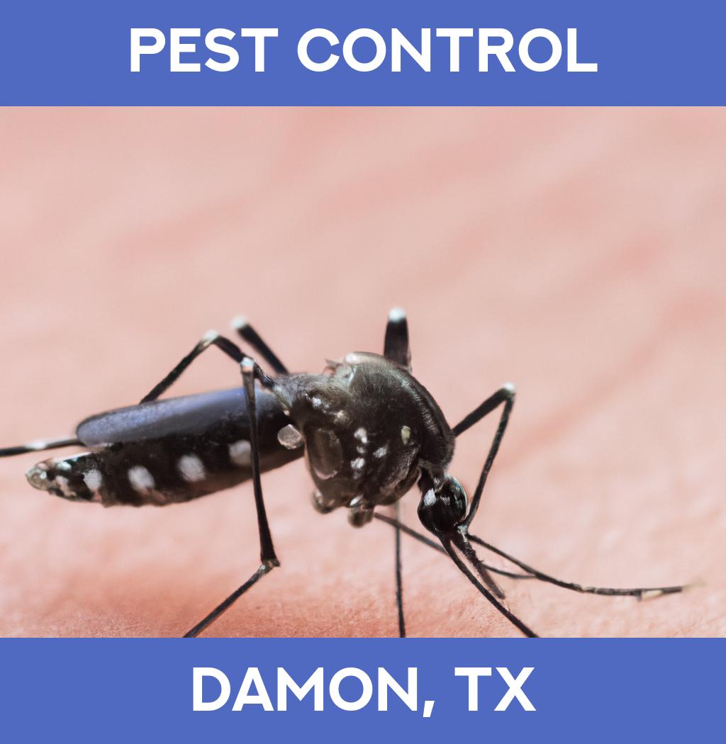 pest control in Damon Texas