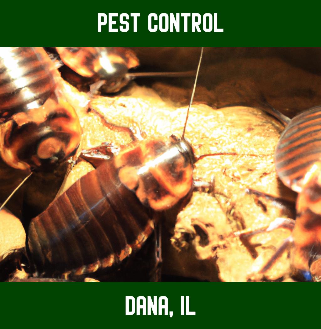 pest control in Dana Illinois