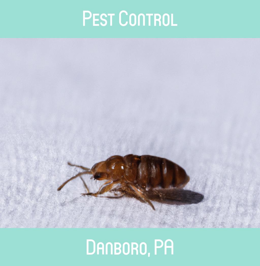pest control in Danboro Pennsylvania